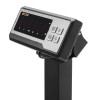 Фасовочные напольные весы M-ER 334 ACFP-150.20/50 (520*420) LED